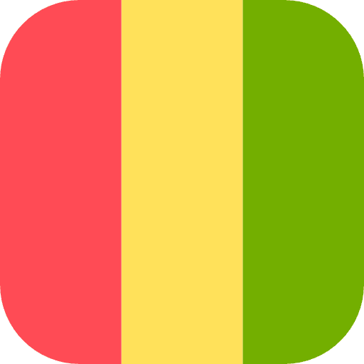 غينيا flag